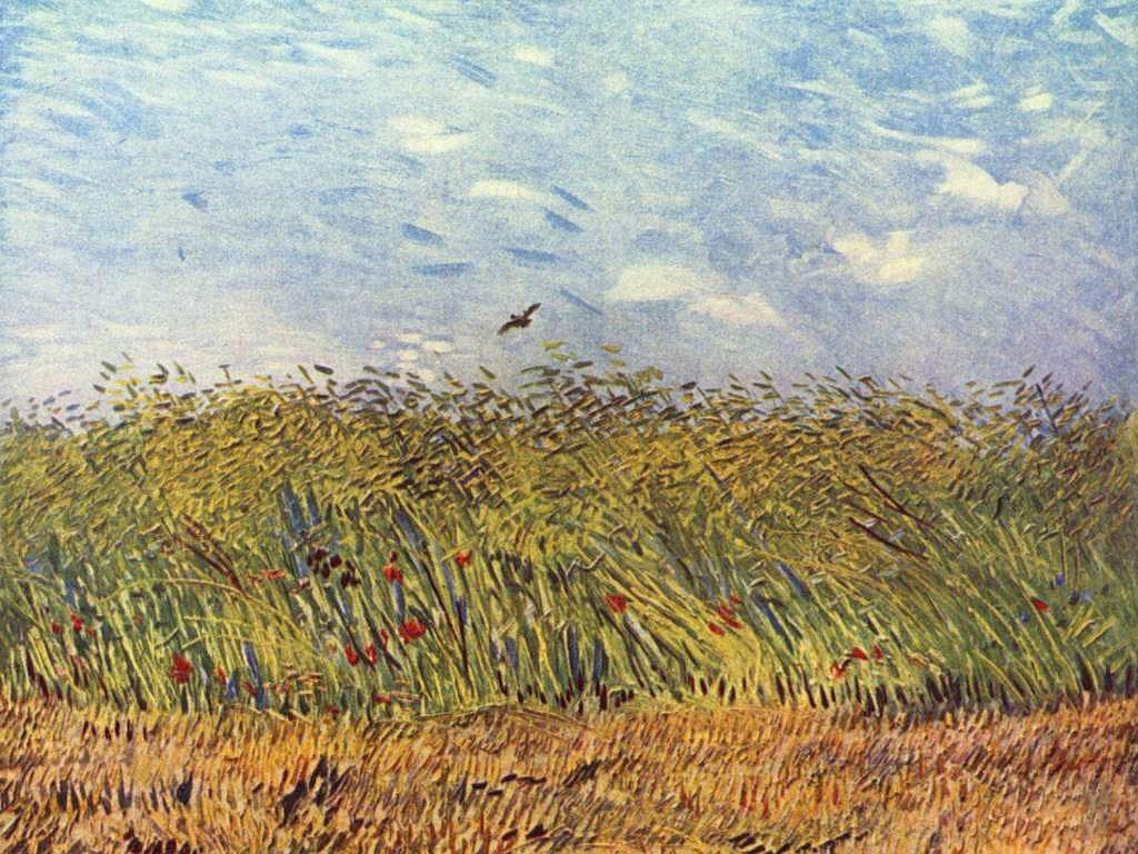 Vincent van Gogh Wheatfield with a Lark